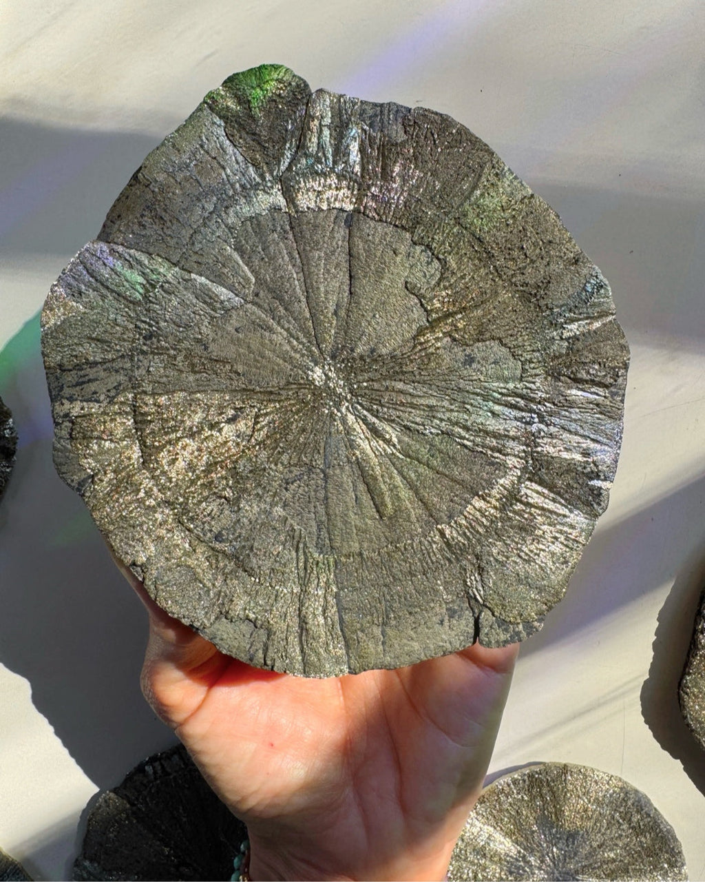 Pyrite Sun Baltic Mermaid
