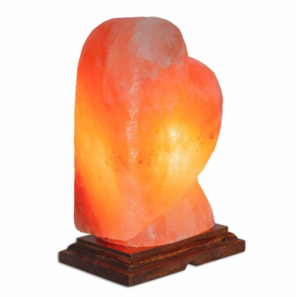 Heart Shaped Salt Lamp  - 10" avg. - Cord, Bulb, Dimmer Sacred Crystals
