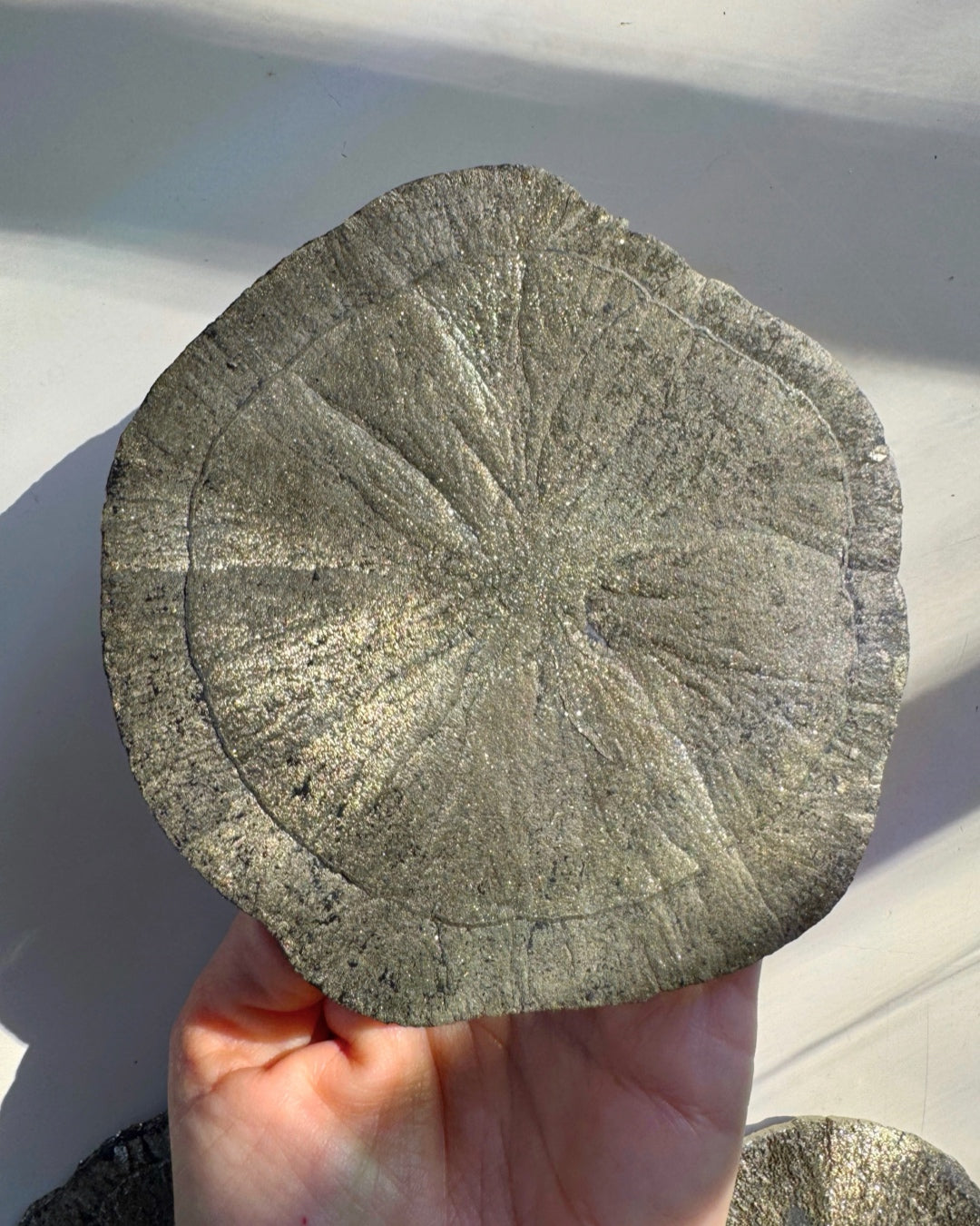 Pyrite Sun Baltic Mermaid