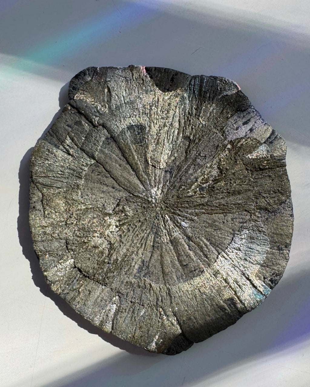 Pyrite Sun Baltic Mermaid
