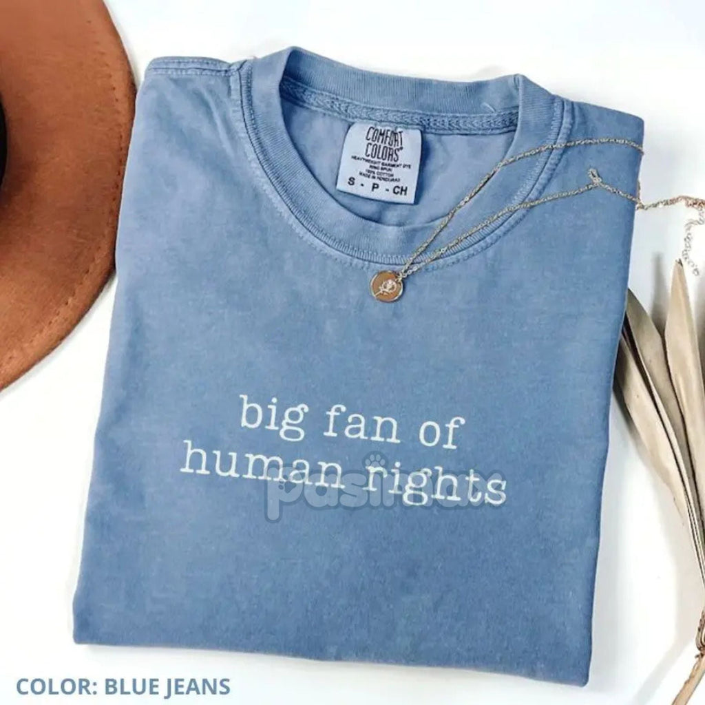 Comfort Colors® 'Big Fan of Human Rights' T-Shirt – Ironic Equality Statement Tee, Minimalist Social Justice Shirt, Essential Beliefs Top Pasimax