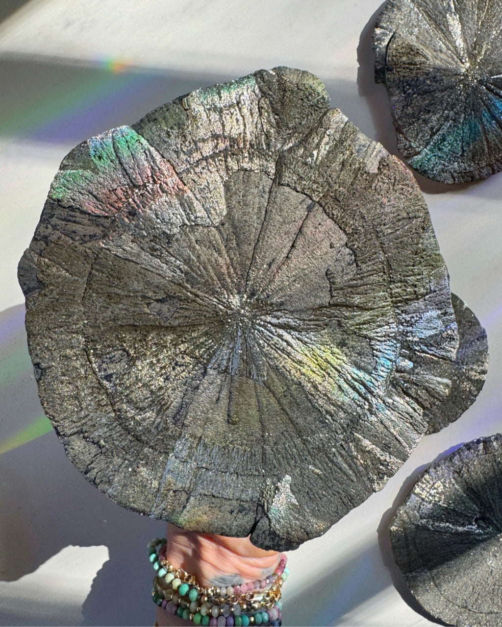 Pyrite Sun Baltic Mermaid