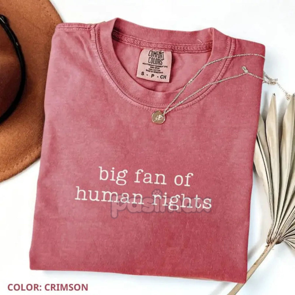 Comfort Colors® 'Big Fan of Human Rights' T-Shirt – Ironic Equality Statement Tee, Minimalist Social Justice Shirt, Essential Beliefs Top Pasimax