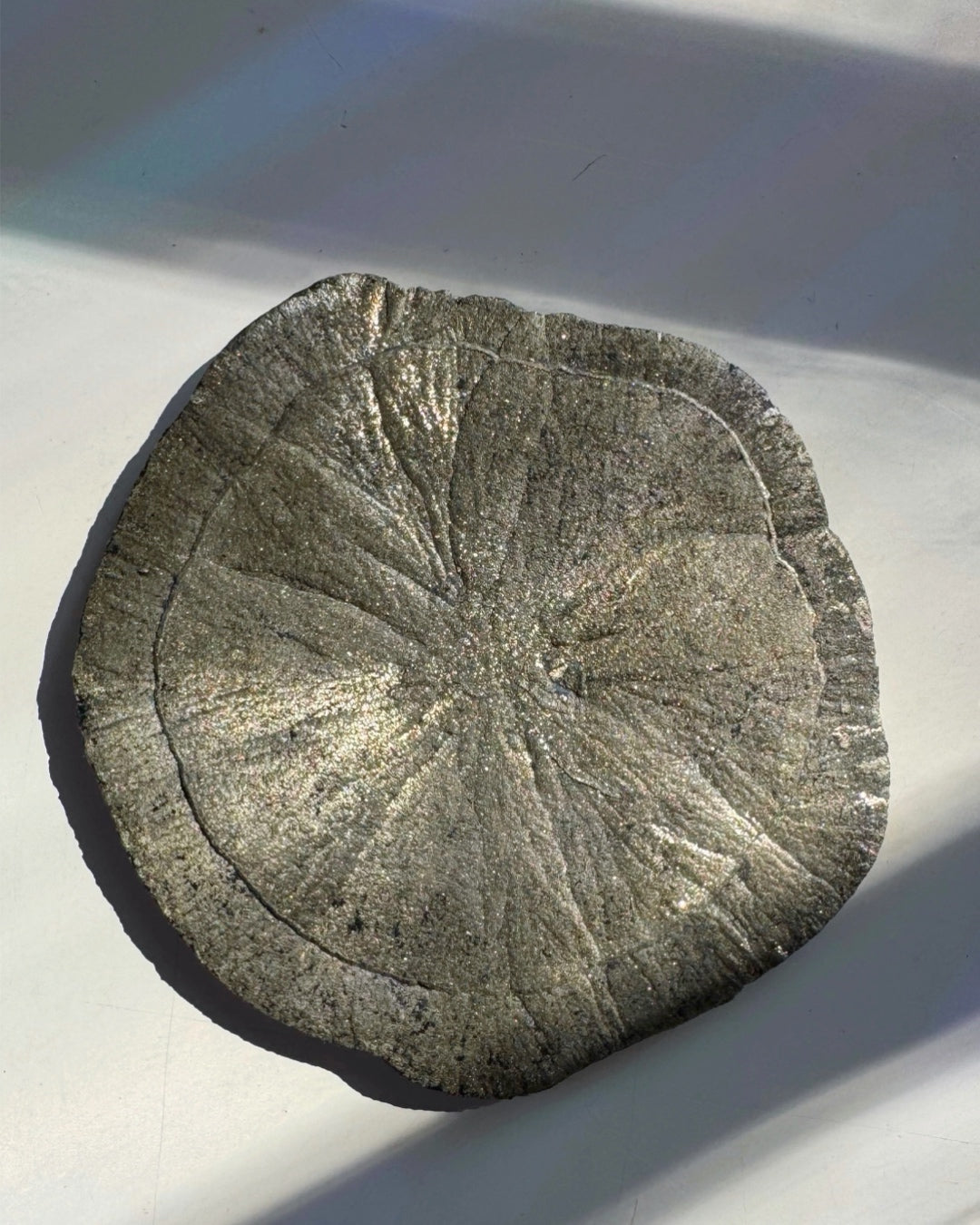 Pyrite Sun Baltic Mermaid