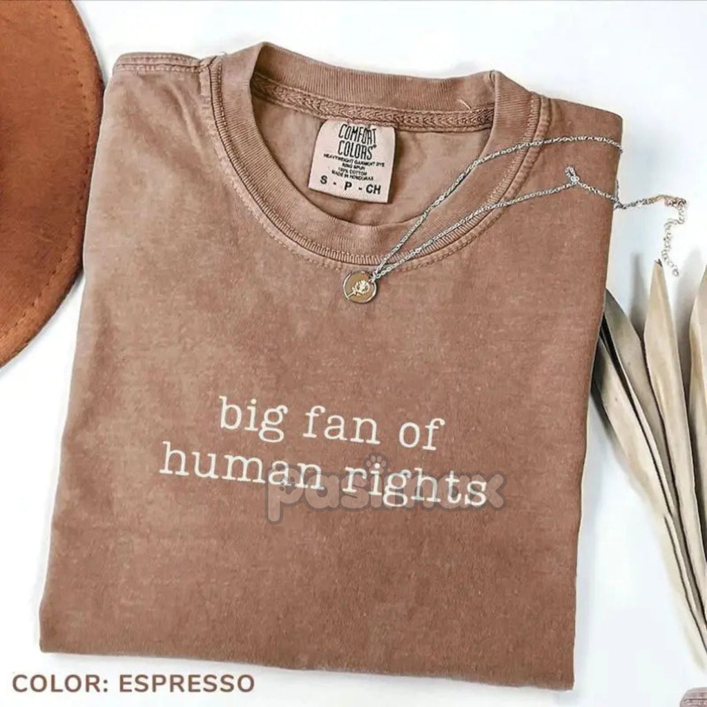Comfort Colors® 'Big Fan of Human Rights' T-Shirt – Ironic Equality Statement Tee, Minimalist Social Justice Shirt, Essential Beliefs Top Pasimax