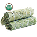 California Eucalyptus Smudge Stick (4 in.) Sacred Crystals