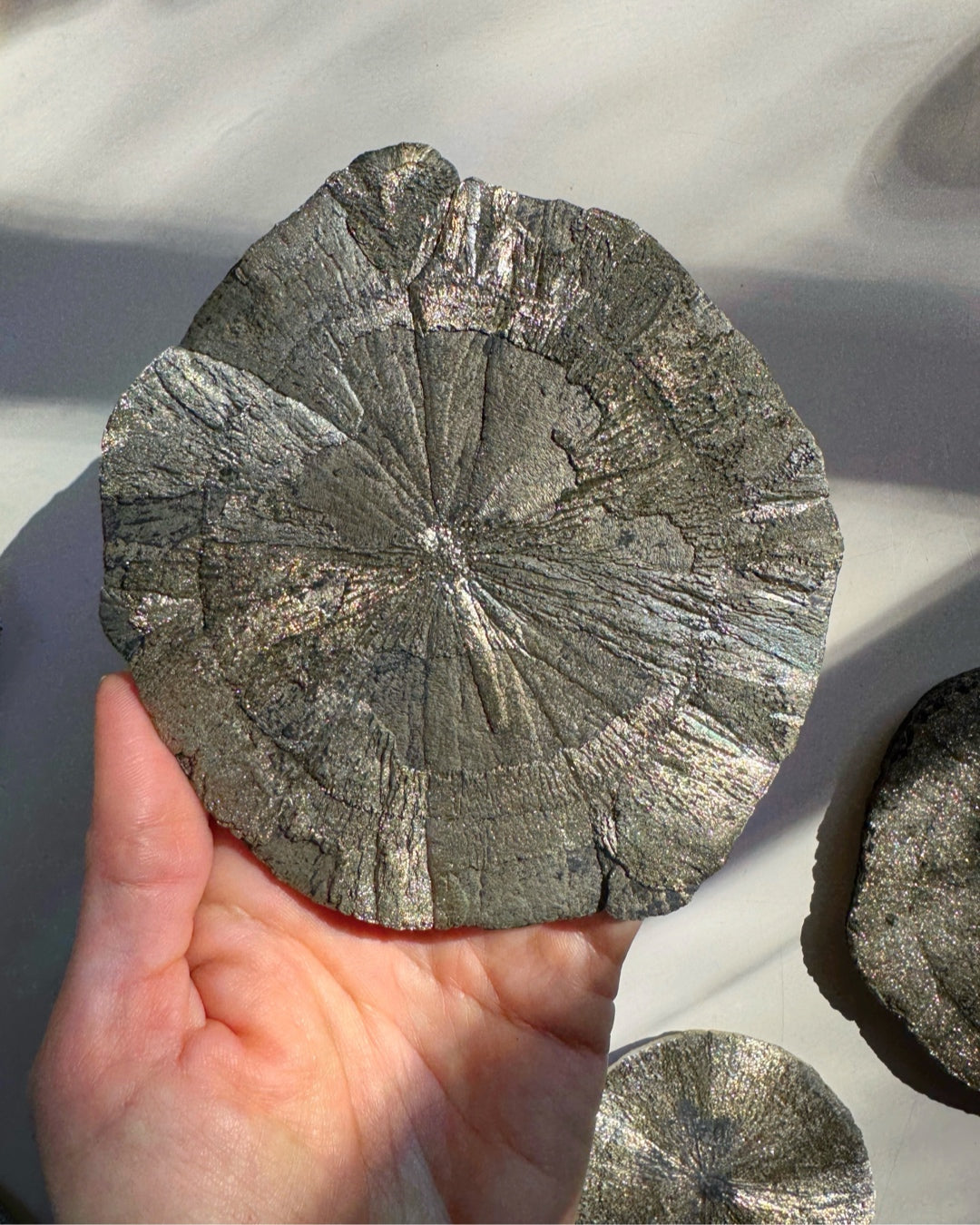 Pyrite Sun Baltic Mermaid