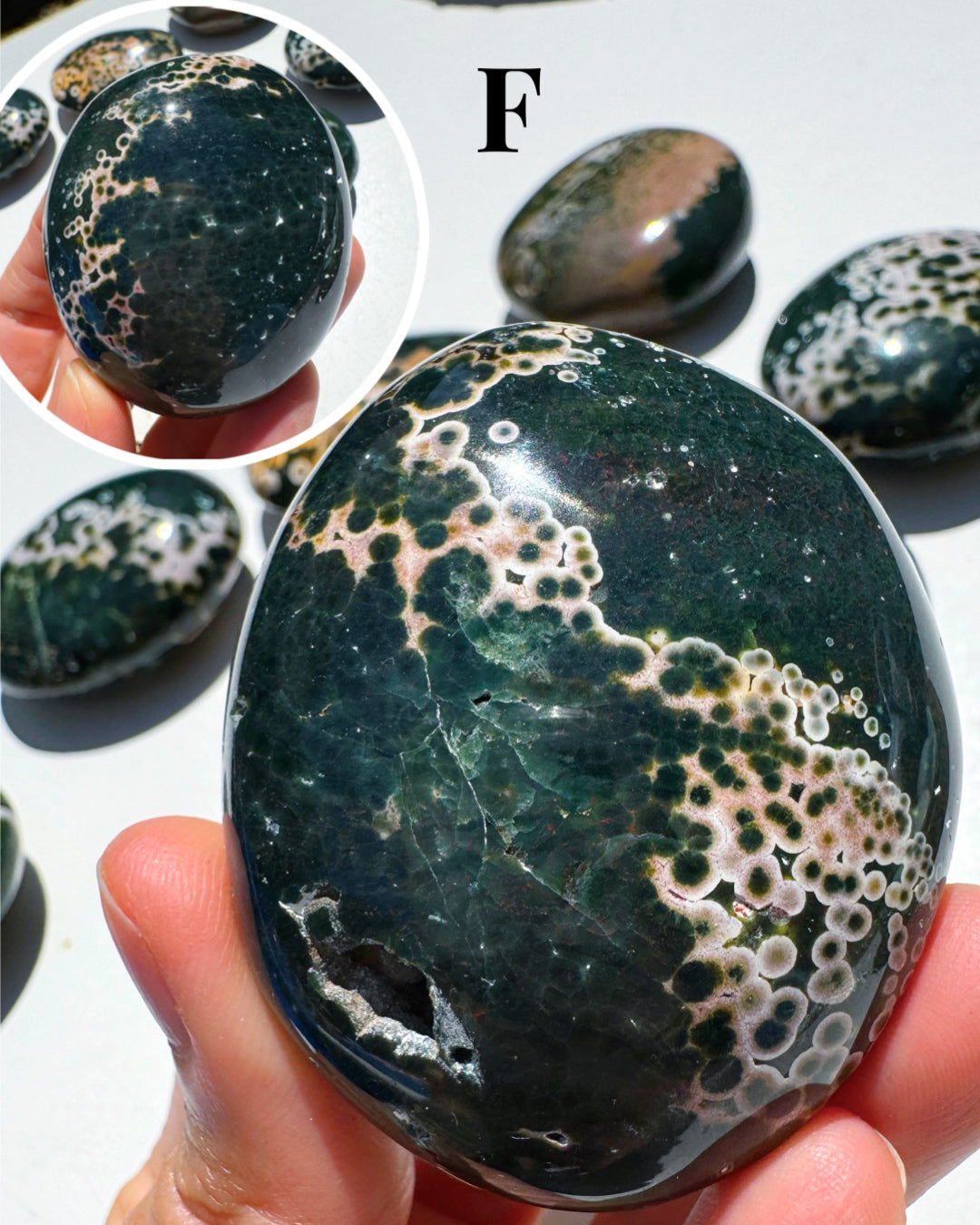 Ocean Jasper Palm Stones Baltic Mermaid