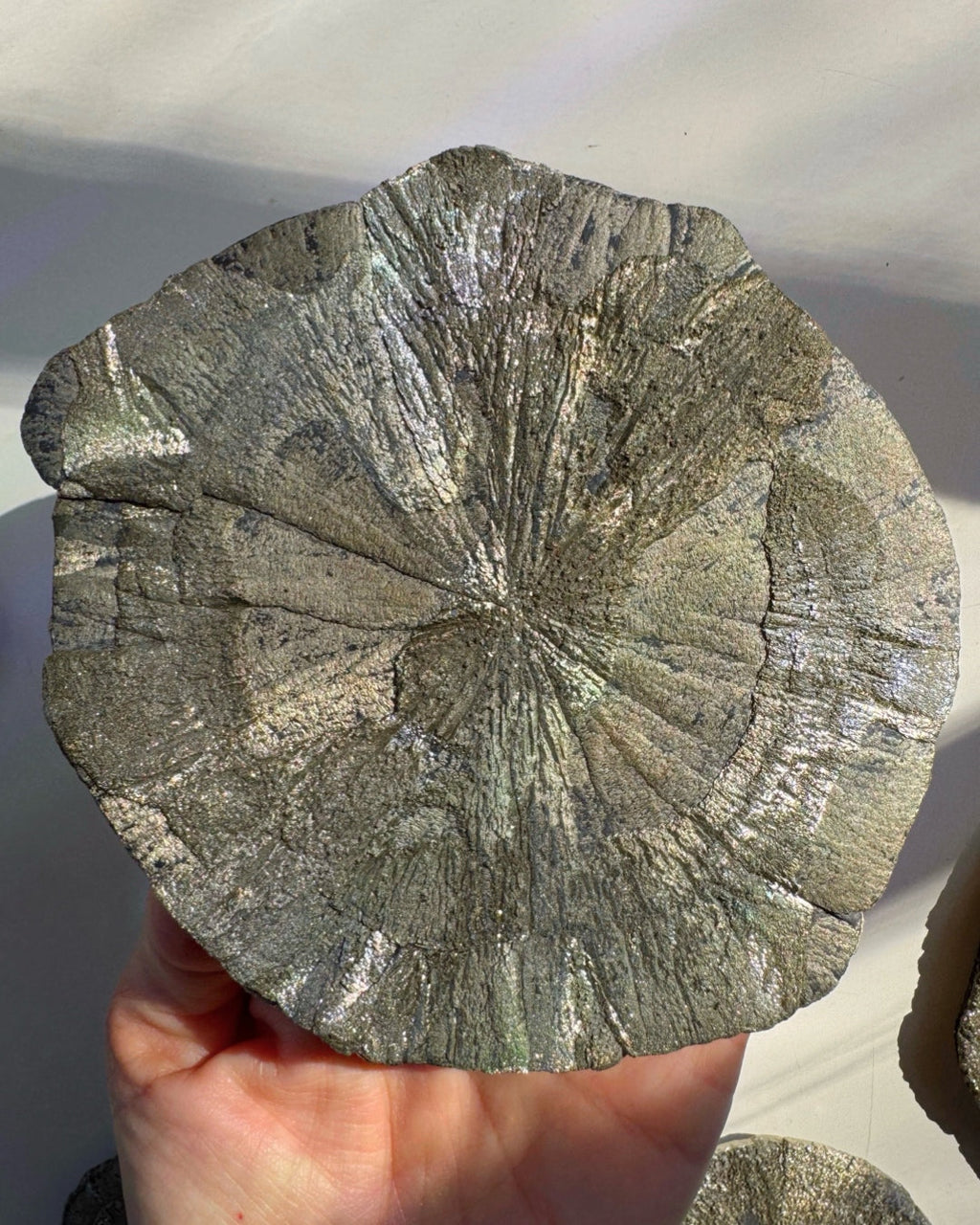 Pyrite Sun Baltic Mermaid