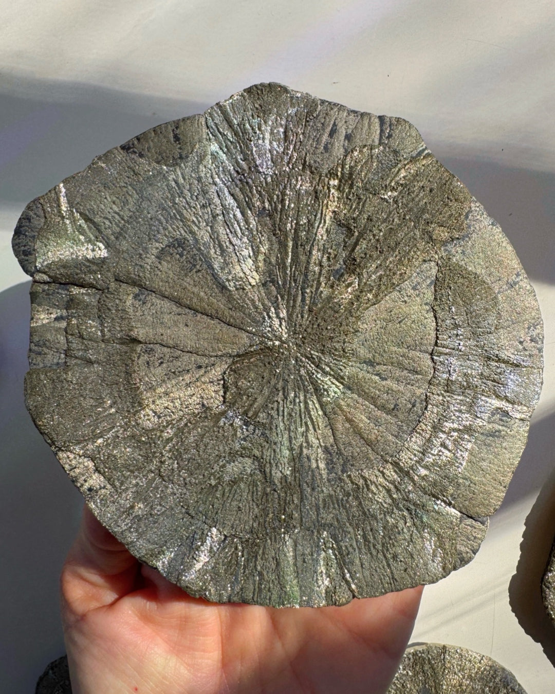 Pyrite Sun Baltic Mermaid