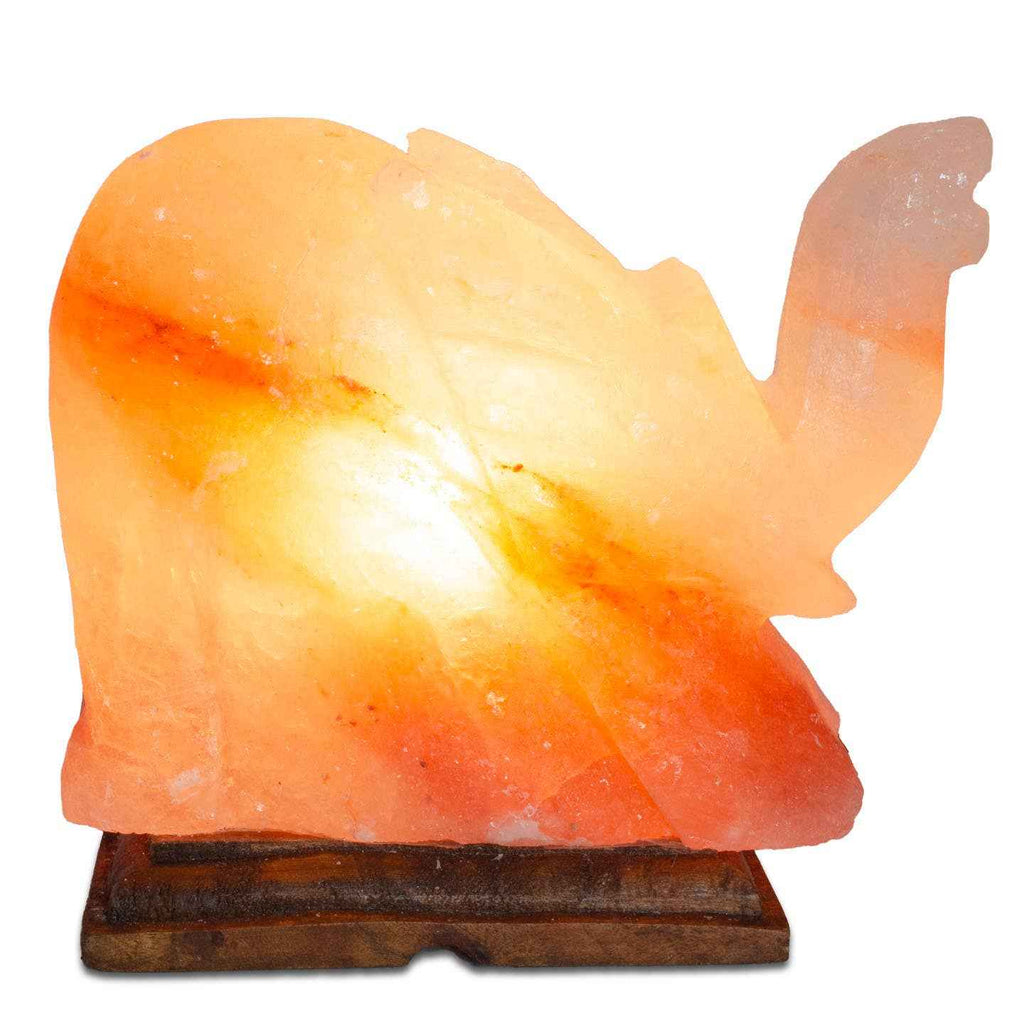 Elephant Shaped Salt Lamp  - 9" avg. - Cord, Bulb, Dimmer Sacred Crystals