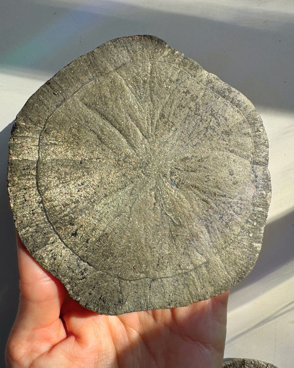 Pyrite Sun Baltic Mermaid