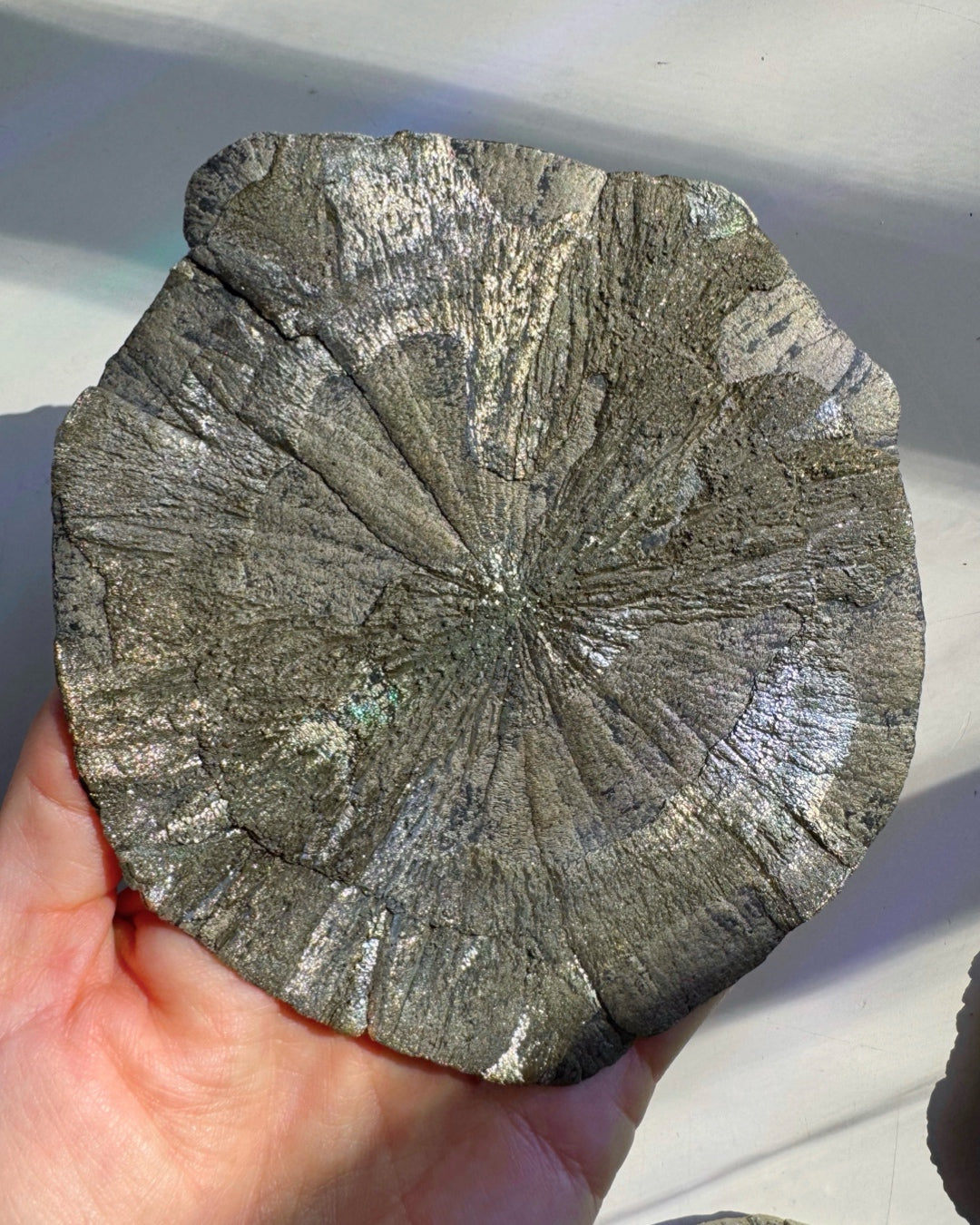 Pyrite Sun Baltic Mermaid