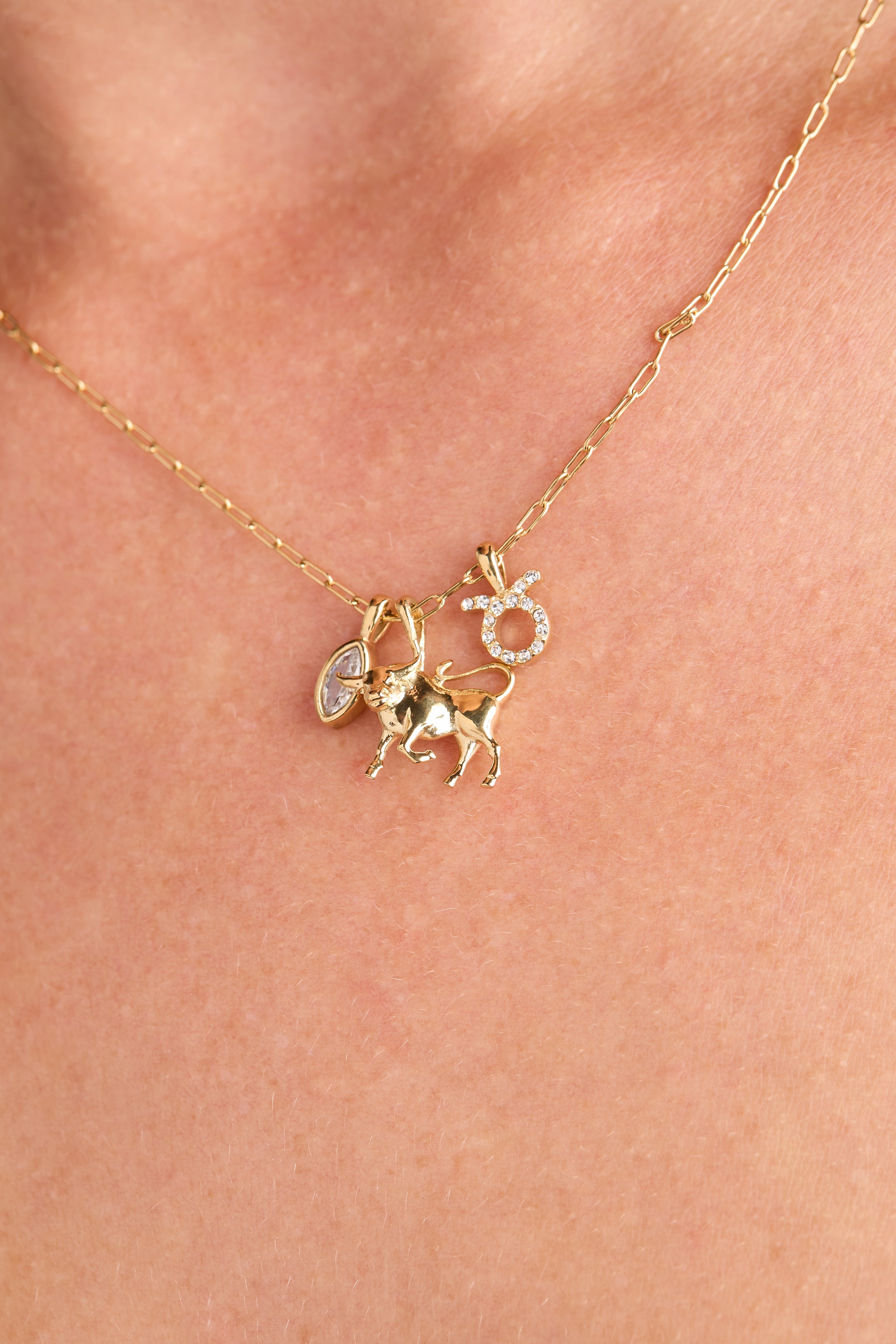 Taurus Zodiac Charm Cluster Necklace ALEX AND ANI