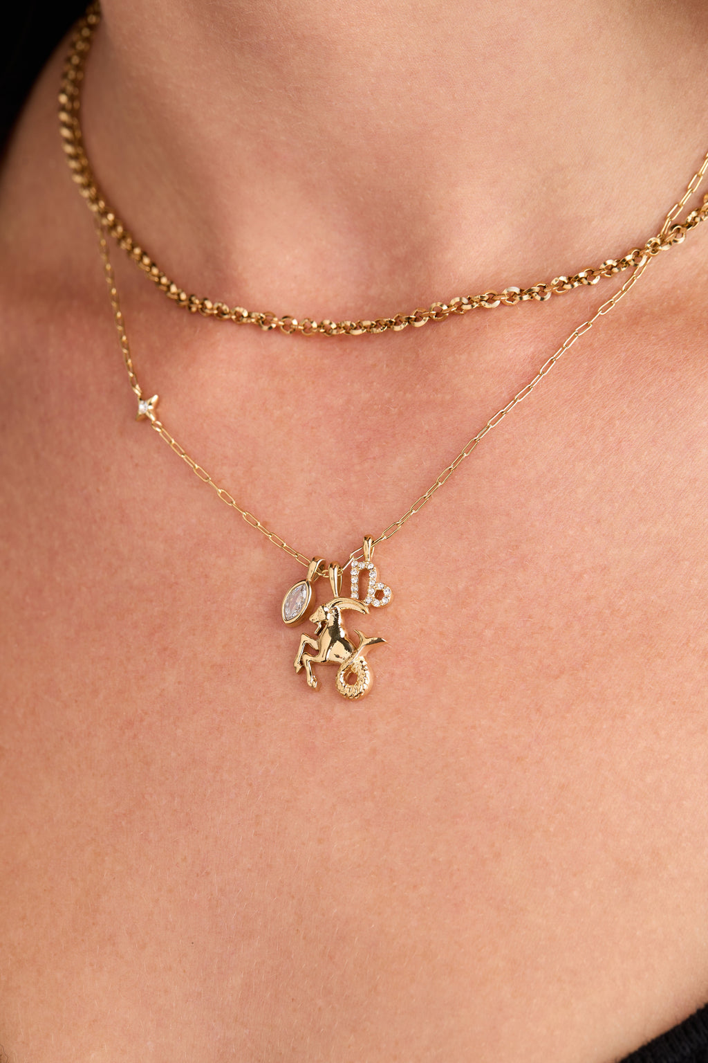 Capricorn Zodiac Charm Cluster Necklace ALEX AND ANI