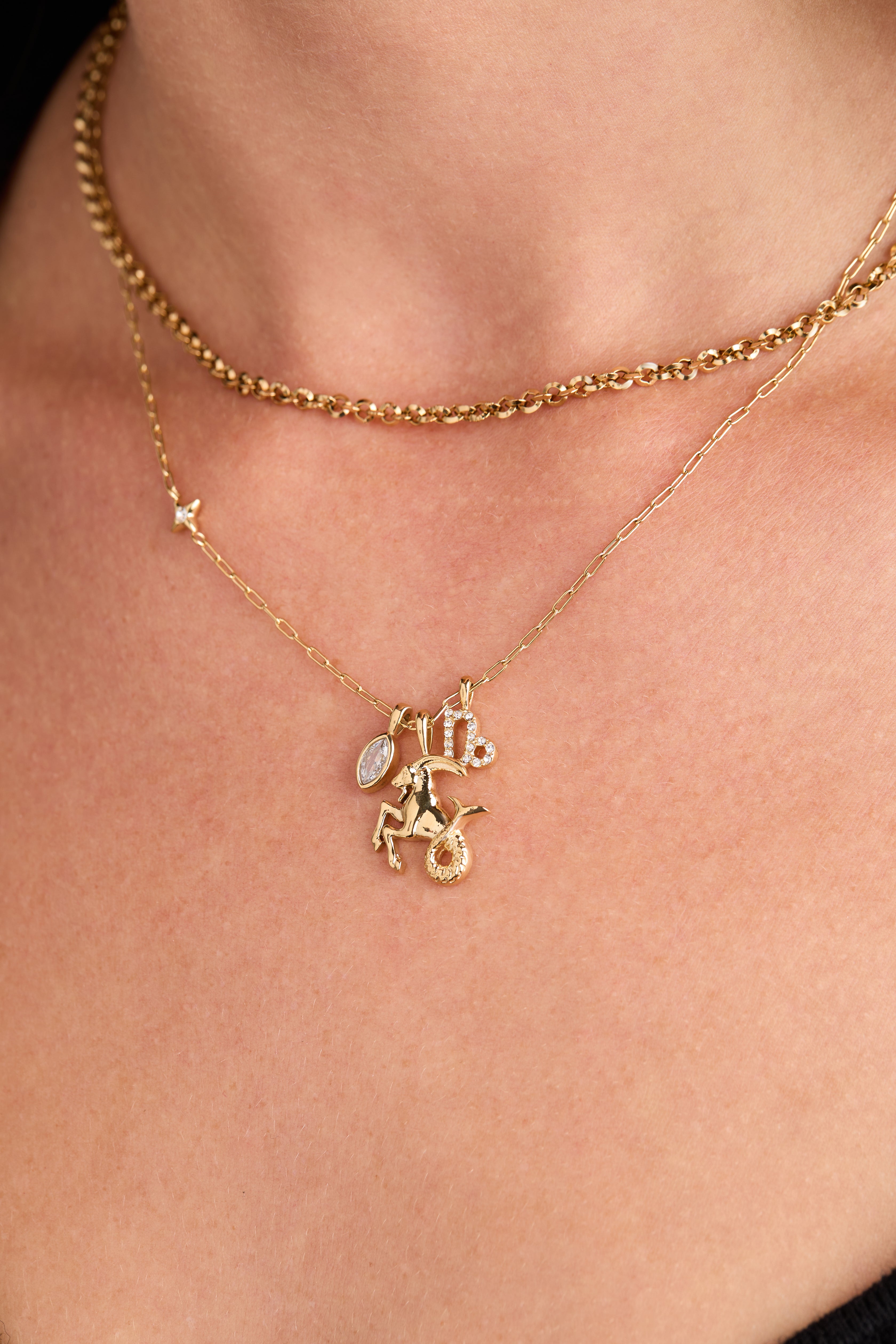 Capricorn Zodiac Charm Cluster Necklace ALEX AND ANI