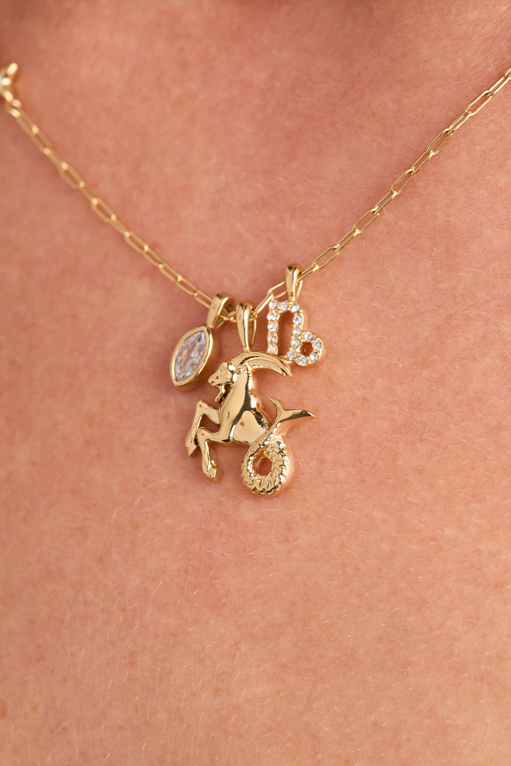 Capricorn Zodiac Charm Cluster Necklace ALEX AND ANI