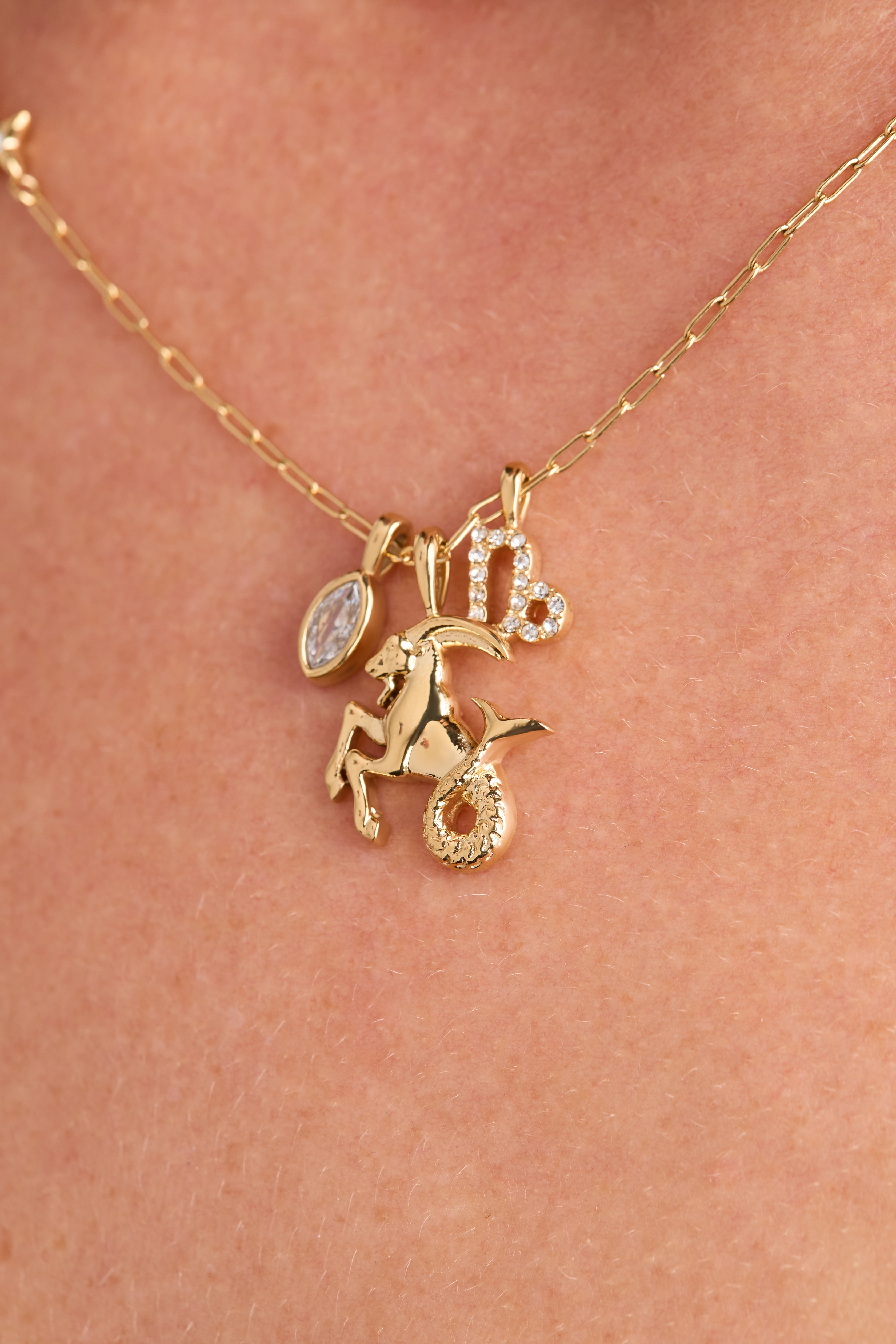 Capricorn Zodiac Charm Cluster Necklace ALEX AND ANI