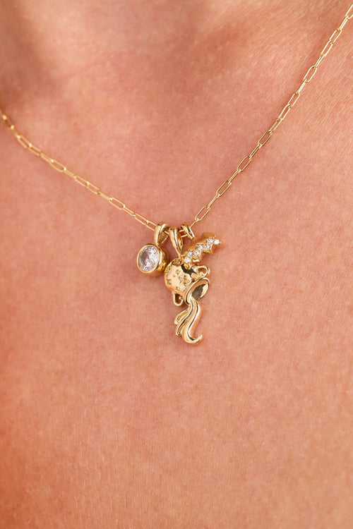 Aquarius Zodiac Charm Cluster Necklace ALEX AND ANI