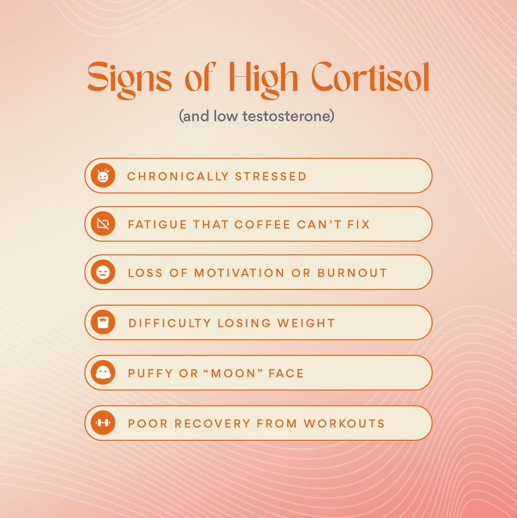 Cortisol, Who? ALORI