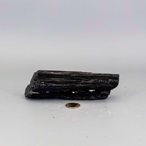 Black Tourmaline Crystal Raw Hunk Elongated Specimen Crystal Destiny