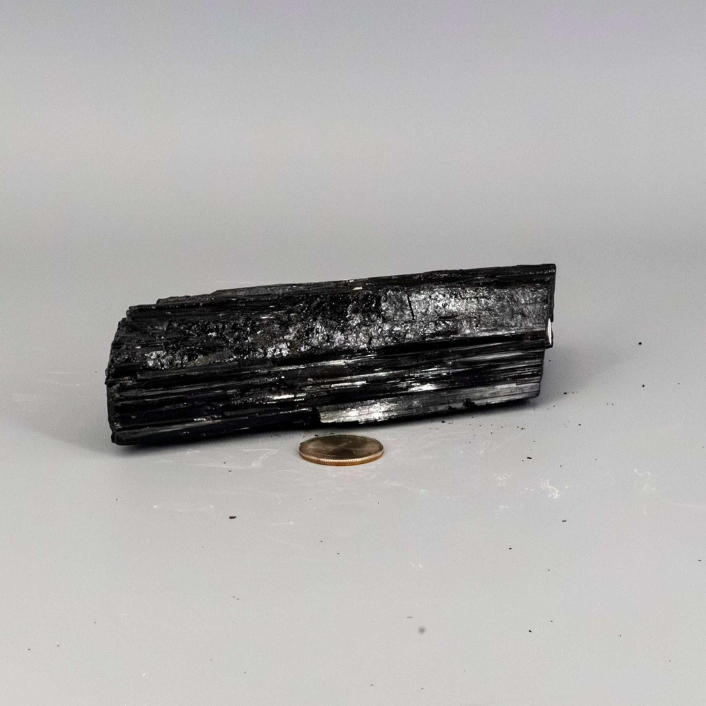 Black Tourmaline Crystal Raw Hunk Elongated Specimen Crystal Destiny