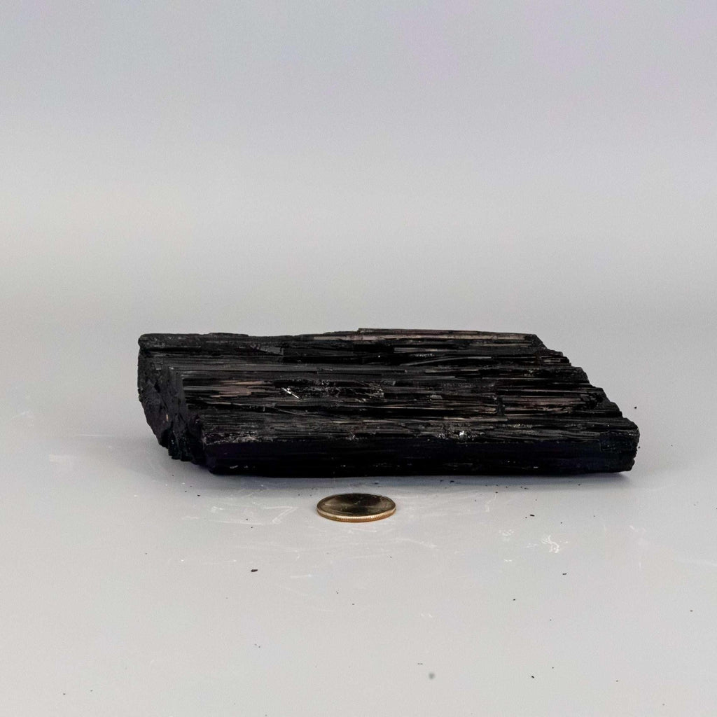 Black Tourmaline Crystal Raw Hunk Elongated Specimen Crystal Destiny