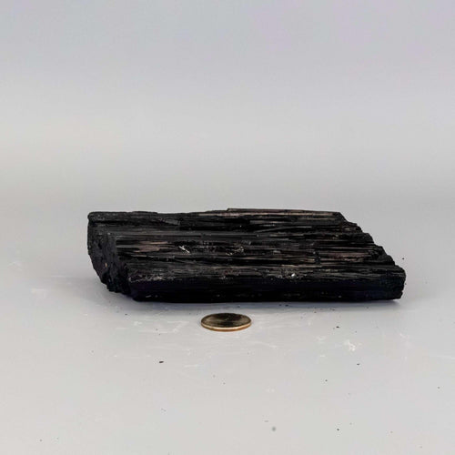 Black Tourmaline Crystal Raw Hunk Elongated Specimen Crystal Destiny