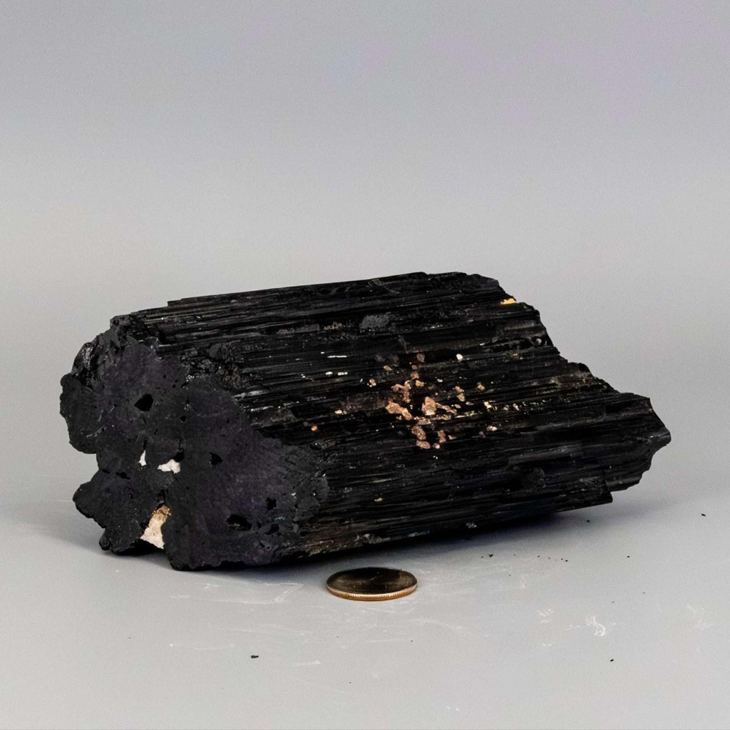 Black Tourmaline Crystal Raw Hunk with Quartz Veins Crystal Destiny