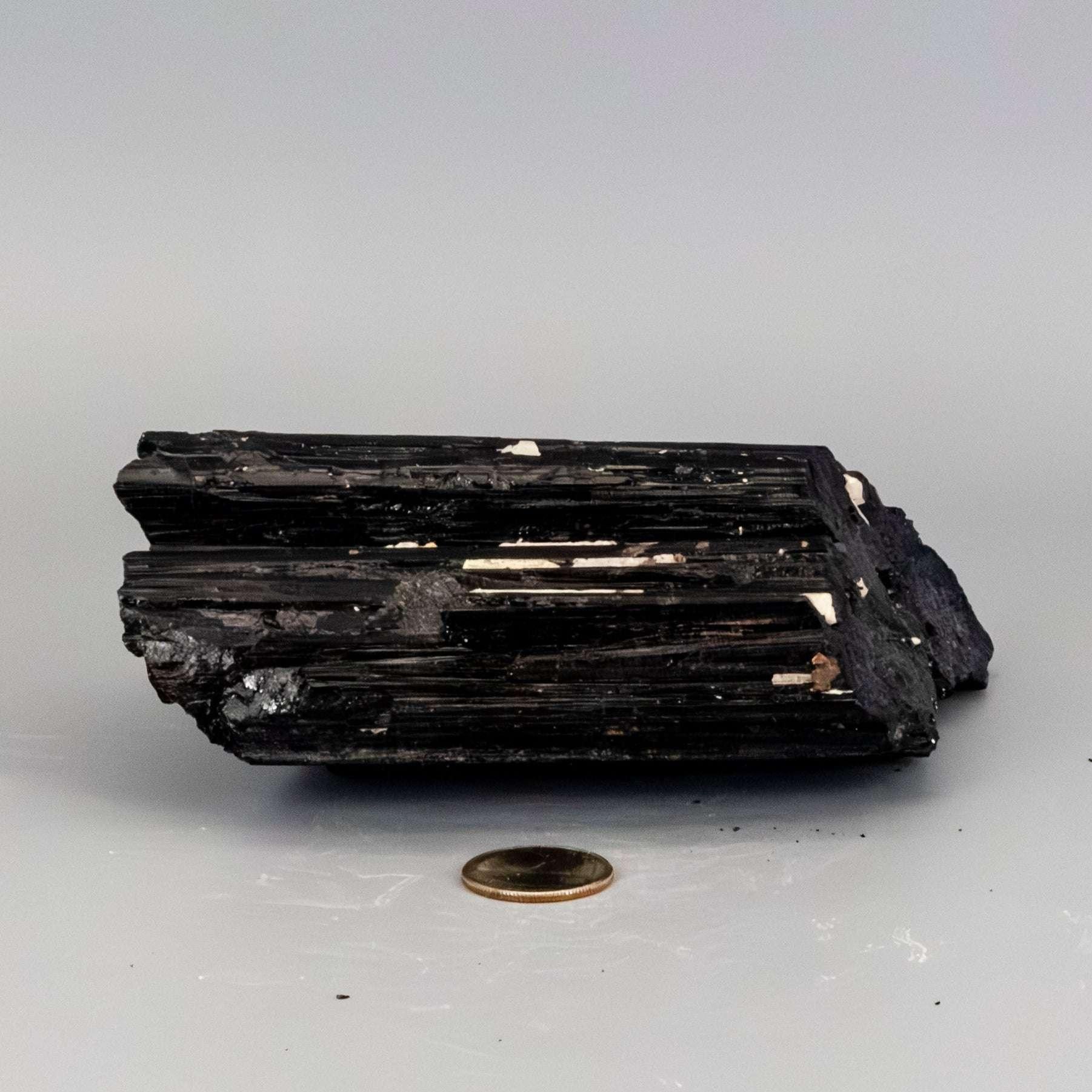 Black Tourmaline Crystal Raw Hunk with Quartz Veins Crystal Destiny
