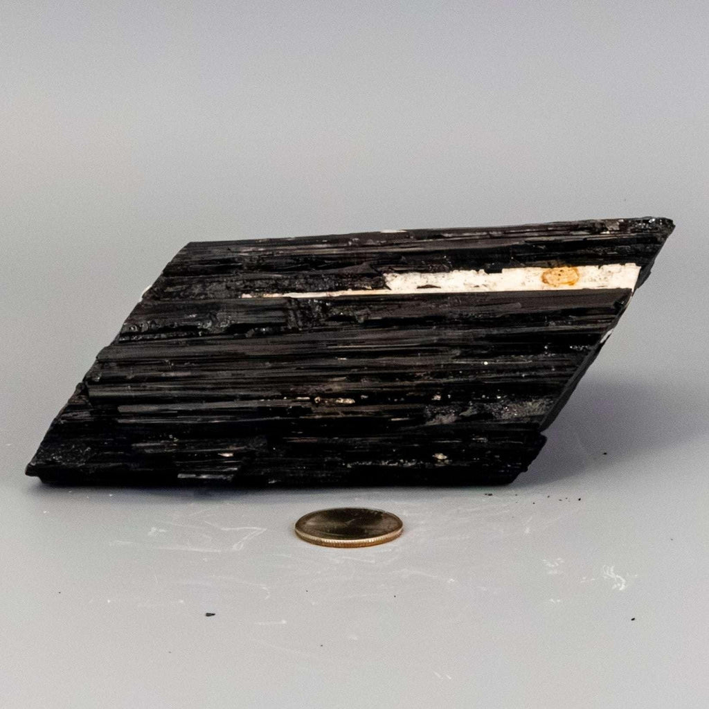 Black Tourmaline Crystal Raw Hunk with Quartz Veins Crystal Destiny