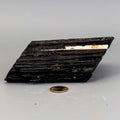 Black Tourmaline Crystal Raw Hunk with Quartz Veins Crystal Destiny