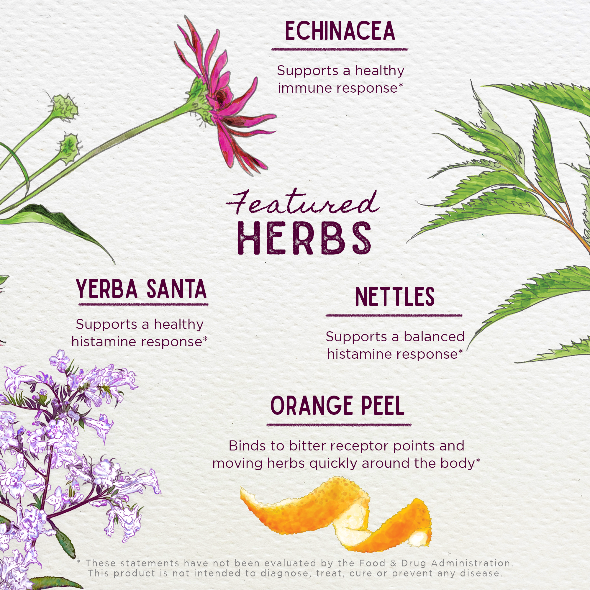 Kick-Ass Allergy & Sinus, Soother WishGarden Herbs