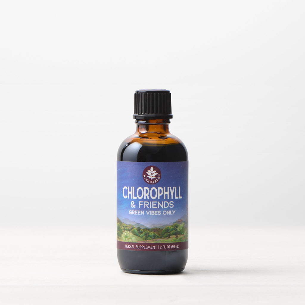 Chlorophyll & Friends WishGarden Herbs