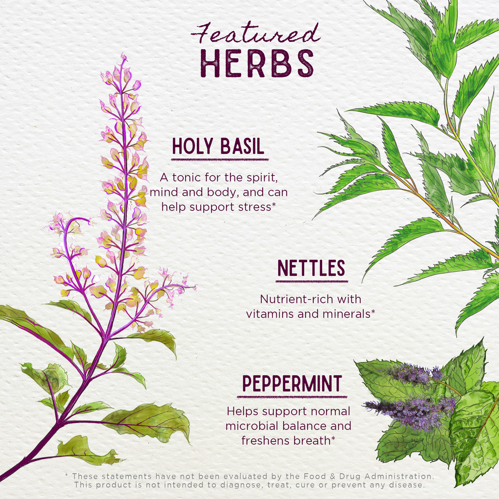 Chlorophyll & Friends WishGarden Herbs