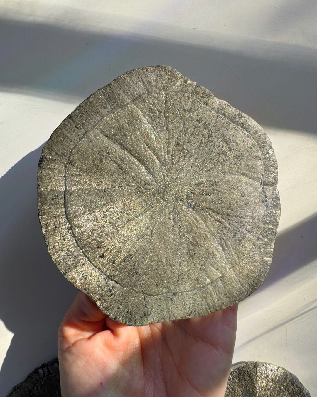Pyrite Sun Baltic Mermaid
