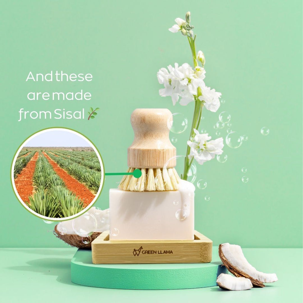 Eco-Friendly Dish Washing Starter Pack - Sparkling Clean & Green Green Llama