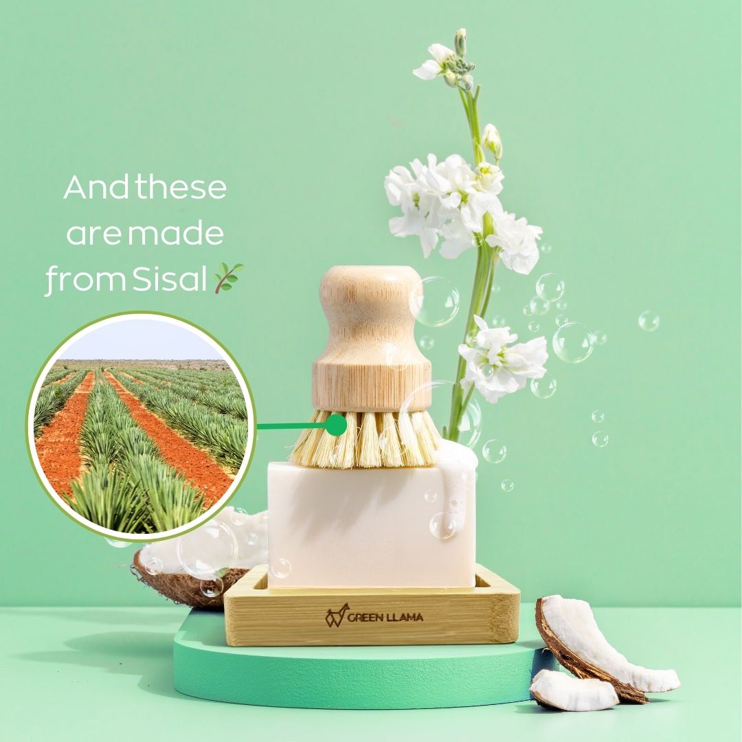 Eco-Friendly Dish Washing Starter Pack - Sparkling Clean & Green Green Llama