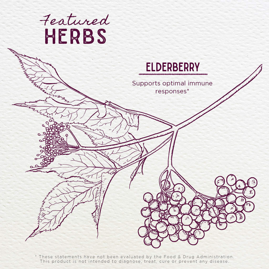 Elderberry Tincture WishGarden Herbs