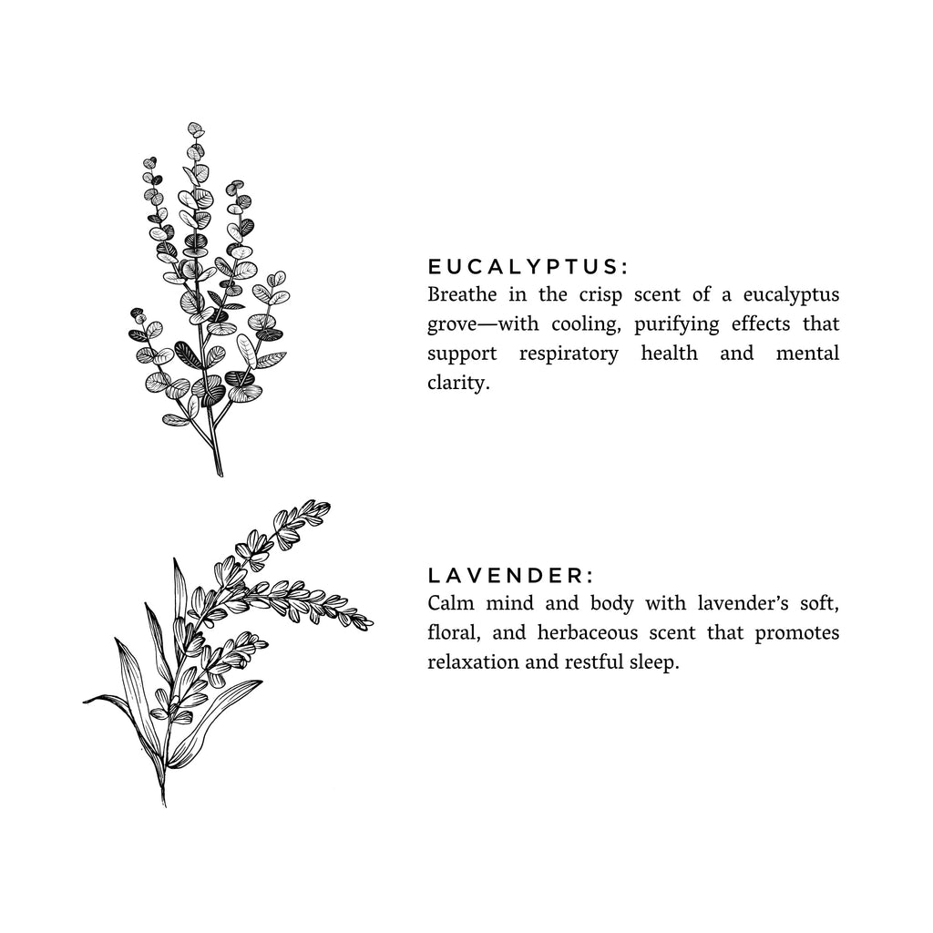 Eucalyptus + Lavender - Natural Bar Soap Slow North