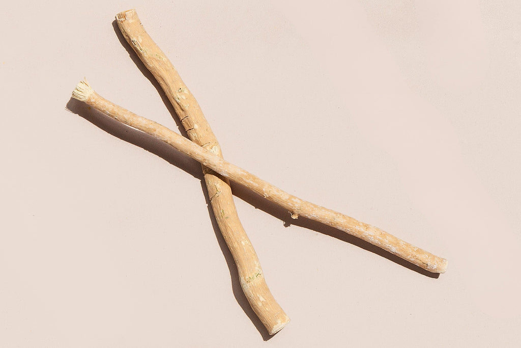 Organic Miswak Twig: Sustainably Sourced from the Arak Tree Remo Brush