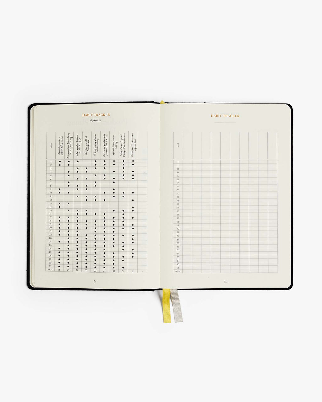 Productivity Planner - Black Intelligent Change