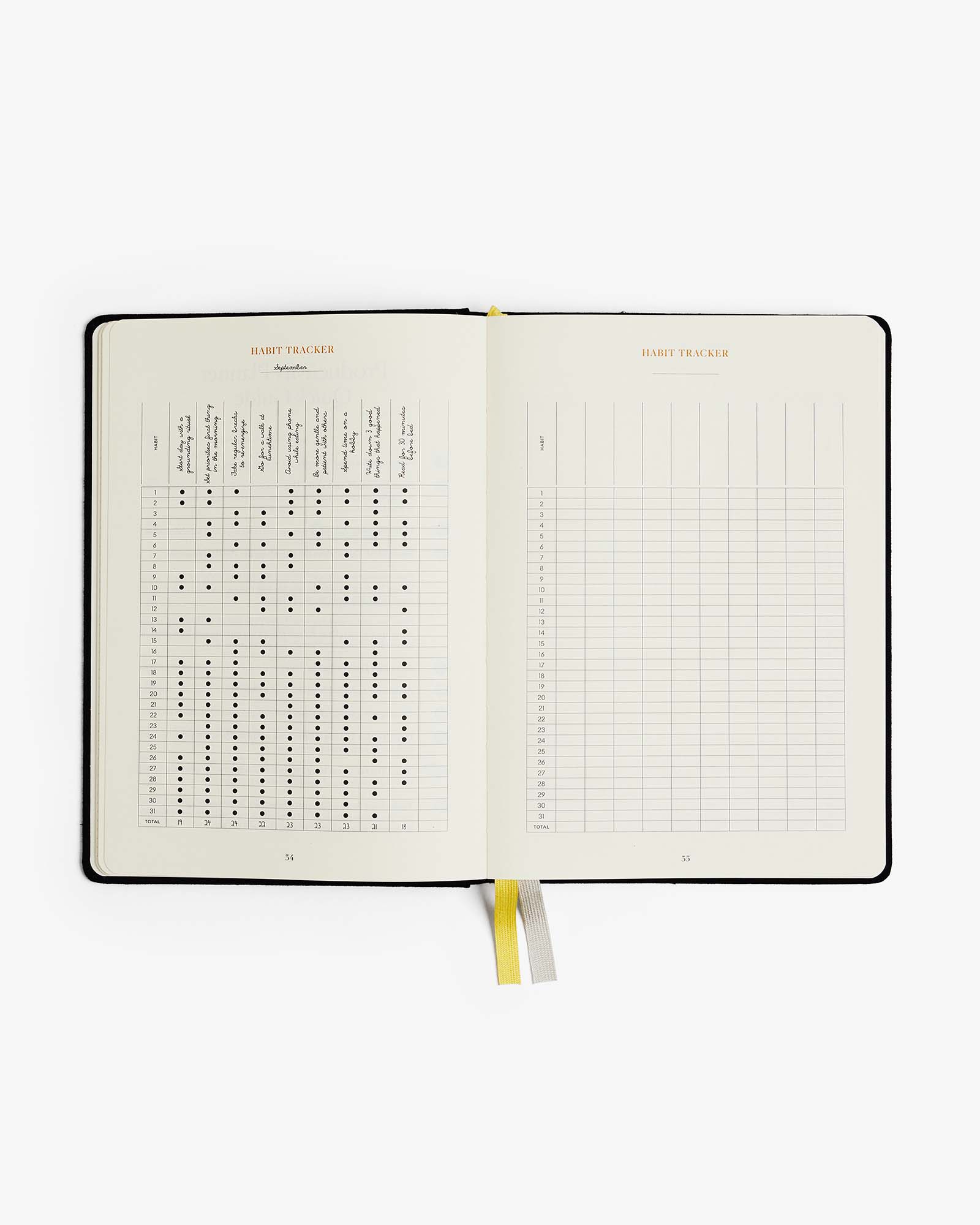 Productivity Planner - Black Intelligent Change
