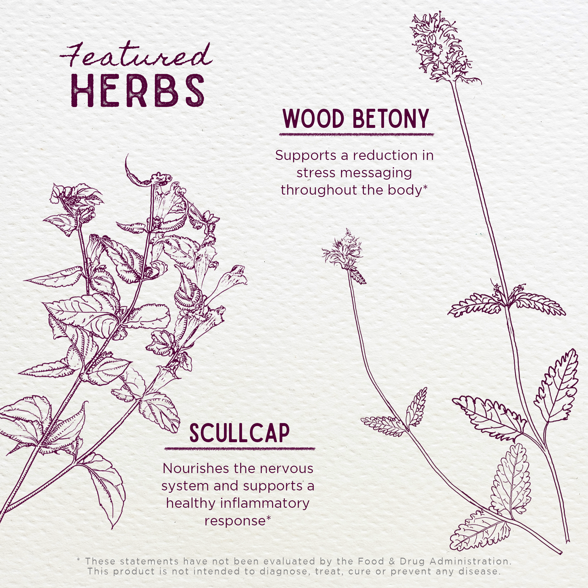 Serious Relaxer & Muscle Tension WishGarden Herbs