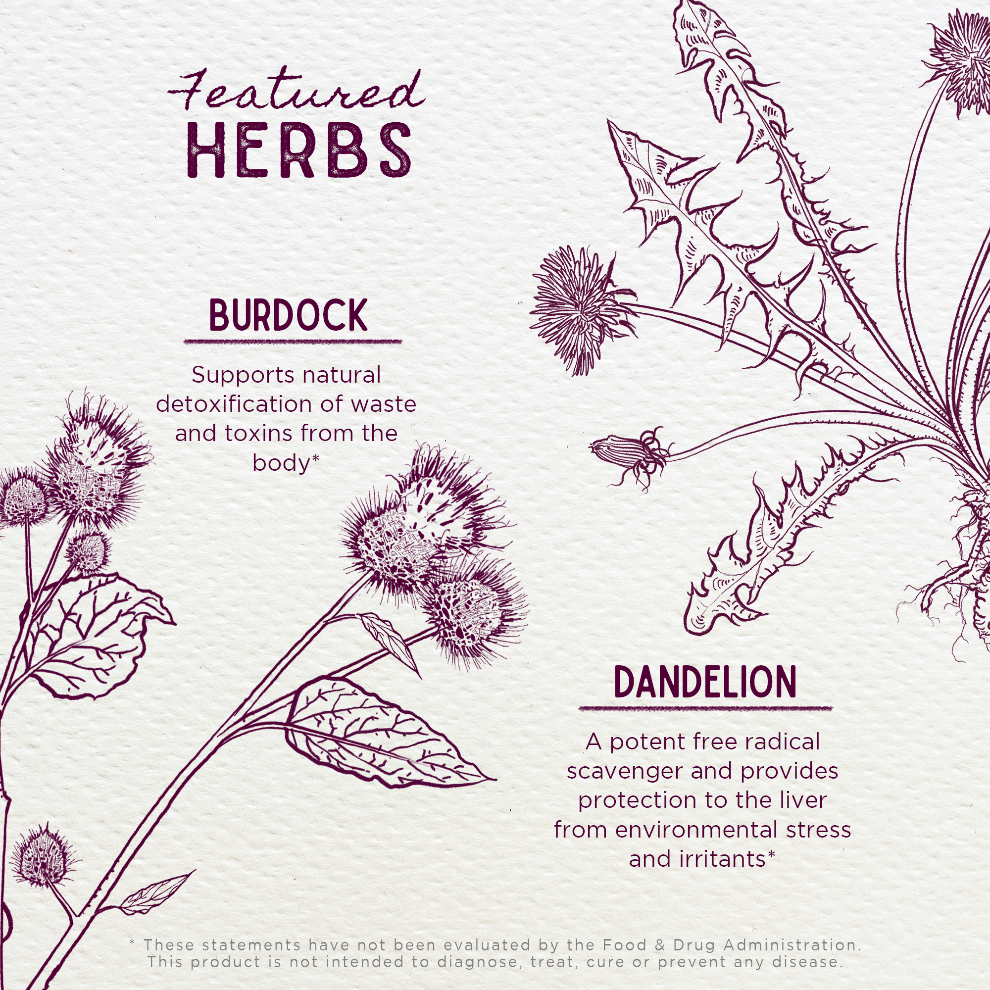 Liver Strength, Daily Support WishGarden Herbs