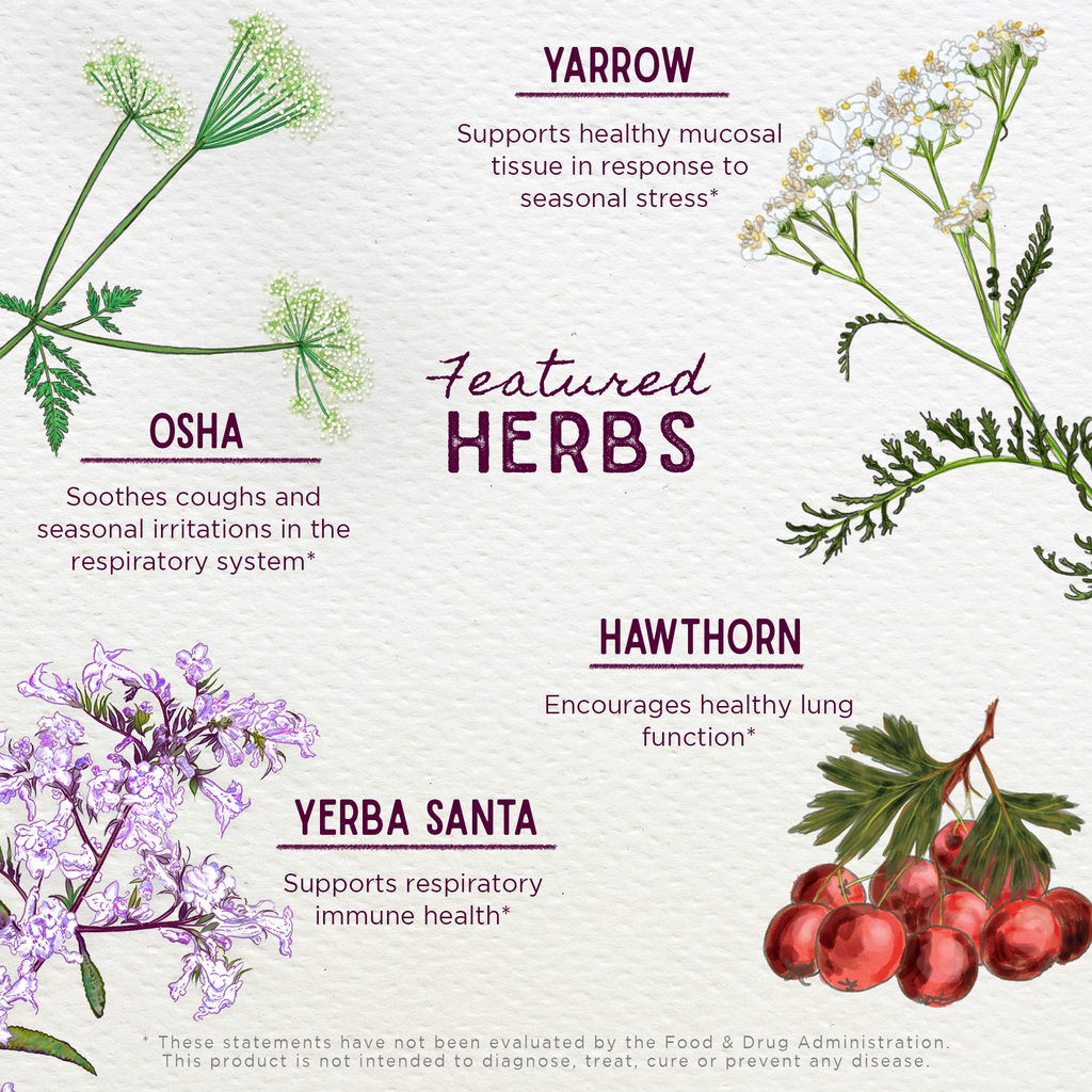 Deep Lung, Bronchial Support WishGarden Herbs