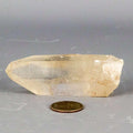 Lemurian Seed Quartz Crystal Point Striated Natural Crystal Destiny
