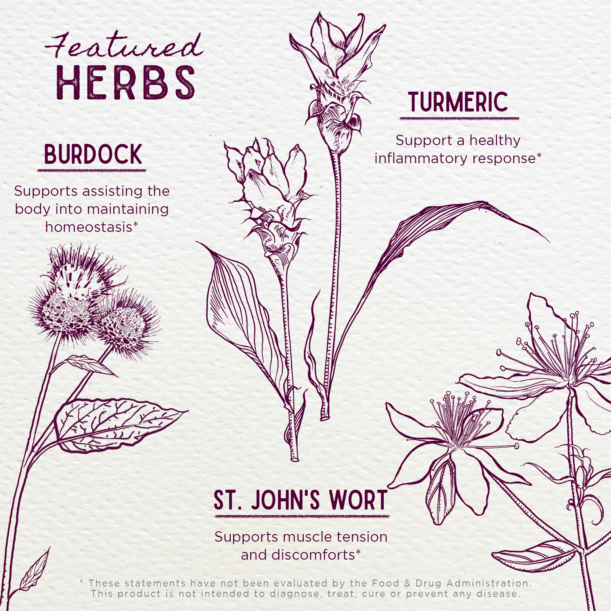 Deep Recovery, Muscular & Skeletal WishGarden Herbs
