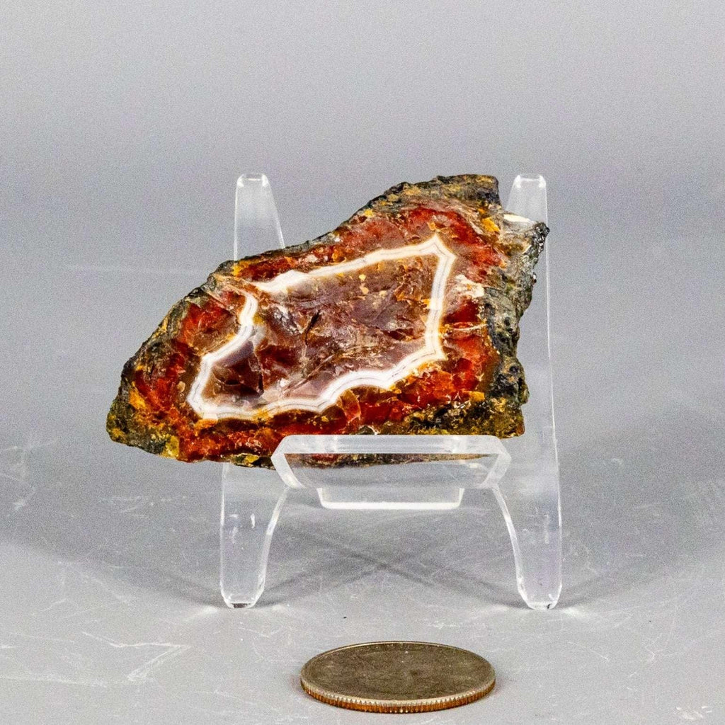 Moroccan Agate Crystal Geode Slice Polished Display Crystal Destiny