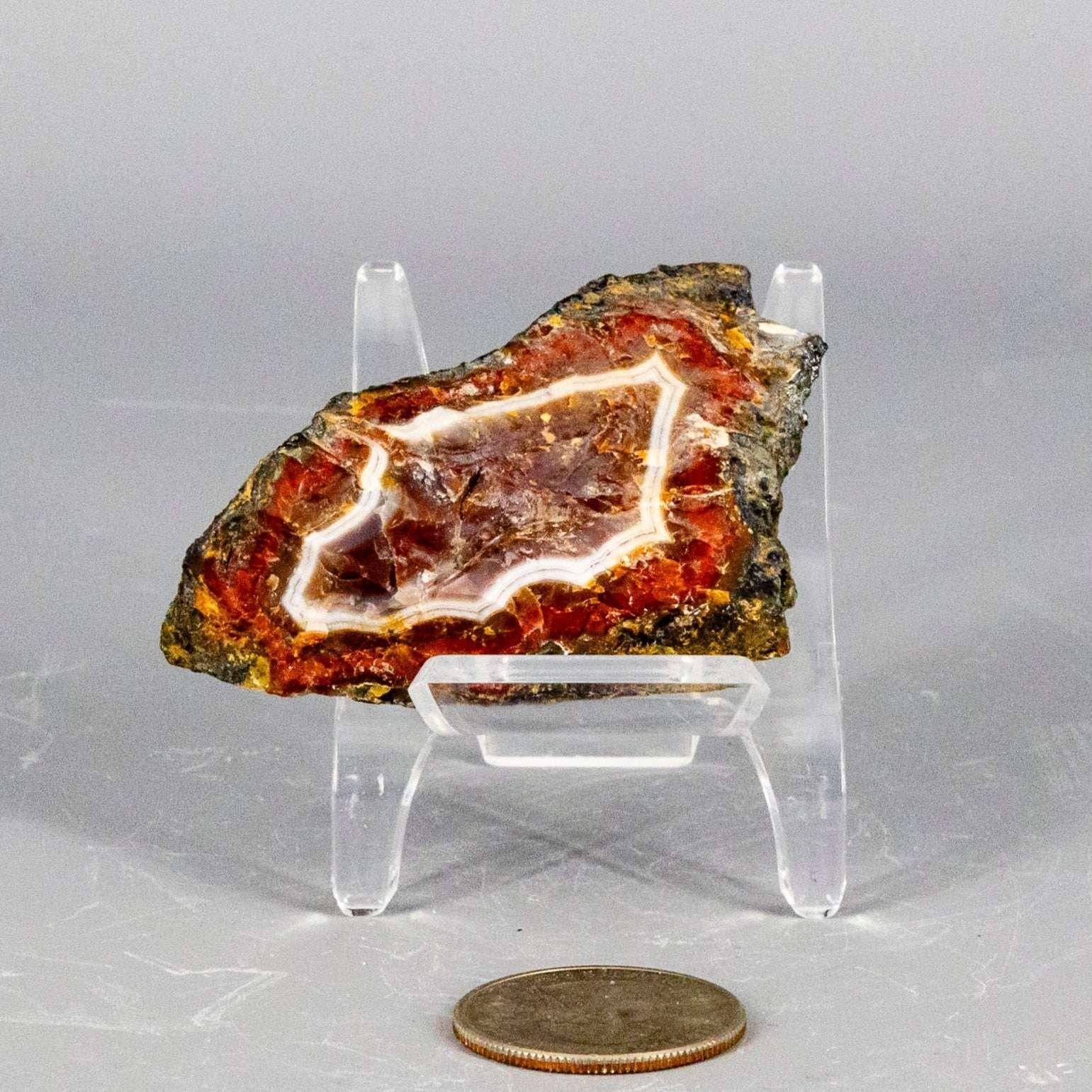 Moroccan Agate Crystal Geode Slice Polished Display Crystal Destiny